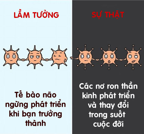 12 lầm tưởng hài hước về cơ thể người đến nay vẫn có người tin “sái cổ” - 1