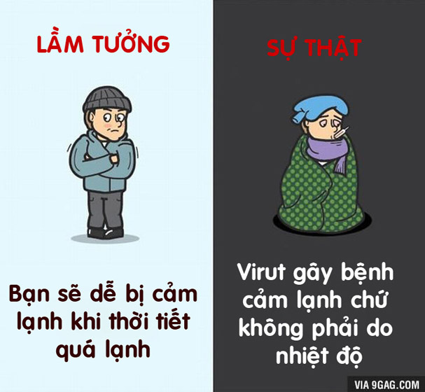 12 lầm tưởng hài hước về cơ thể người đến nay vẫn có người tin “sái cổ” - 5
