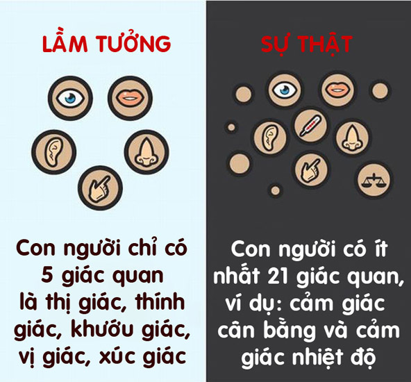 12 lầm tưởng hài hước về cơ thể người đến nay vẫn có người tin “sái cổ” - 4