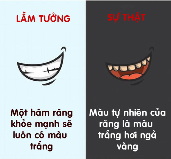 12 lầm tưởng hài hước về cơ thể người đến nay vẫn có người tin “sái cổ” - 10
