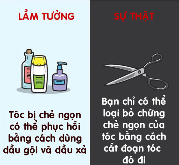 12 lầm tưởng hài hước về cơ thể người đến nay vẫn có người tin “sái cổ” - 7