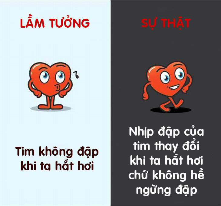 12 lầm tưởng hài hước về cơ thể người đến nay vẫn có người tin “sái cổ” - 6