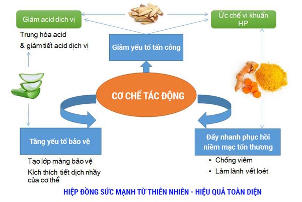 “Chia tay” những cơn đau dạ dày hành hạ cả tuổi thanh xuân - 2