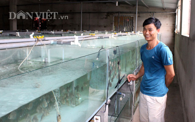 "Đột nhập" trang trại cá cảnh "triệu đô" xuất ngoại giữa Sài thành - 10