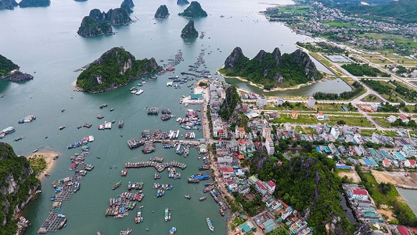 Đặc khu kinh tế: Muốn xây tổ đón đại bàng hay chim sâu? - 1