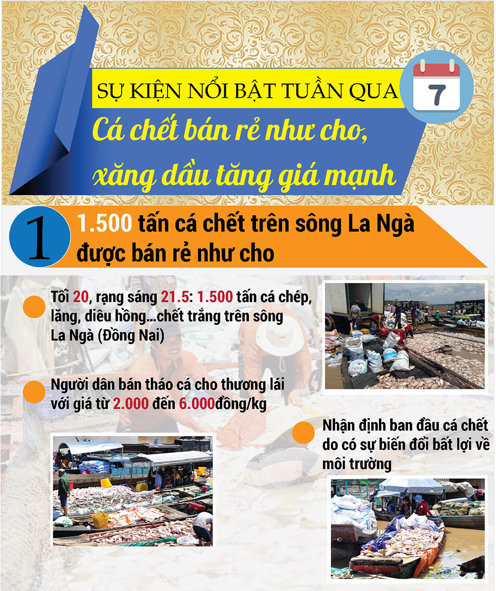 Nóng tuần qua: Cá chết bán rẻ như cho, xăng dầu tăng giá mạnh - 1