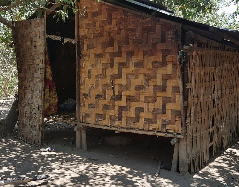 Gia đình &#34;người rừng&#34; Srín đón thêm thành viên mới - 2