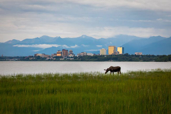 Anchorage, Mỹ: Thành phố này lý tưởng cho hoạt động đạp xe ngắm cảnh dọc các vịnh, vì thời tiết ở đây khả mát mẻ vào mùa hè với nhiệt độ trung bình khoảng 18 độ C.