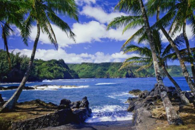Maui, Hawaii: Hòn đảo lớn thứ hai của bang Hawaii gây ấn tượng với những khu rừng xanh mát và nhiều thác nước đẹp. Bãi biển hoang sơ đường phủ bóng bởi hàng cọ là địa điểm lý tưởng để thư giãn.