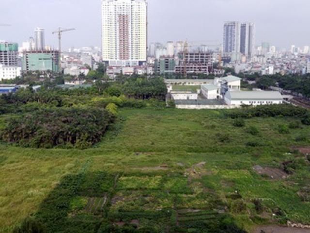 Kinh doanh - Hậu cổ phần hóa, doanh nghiệp “ôm đất” làm liều