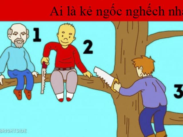 Theo bạn, ai là kẻ ngu ngốc nhất trong bức tranh này?