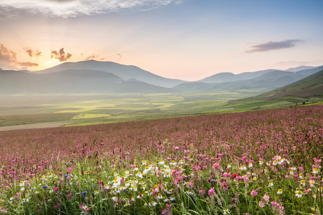 Piano Grande, Italia: Là một trong những vùng đồng bằng trên cao đẹp nhất châu Âu, Piano Grande trở nên rực rỡ nhất vào cuối tháng 5 và đầu tháng 6 với những cánh đồng hoa thủy tiên, tulip và hoa lan.
