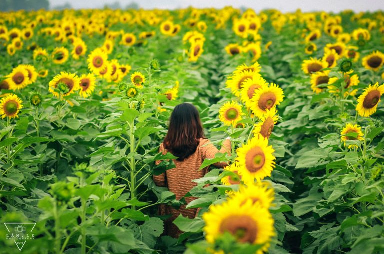 Những điểm đến “mát lạnh” ở vùng Gió Lào Nghệ An - 3