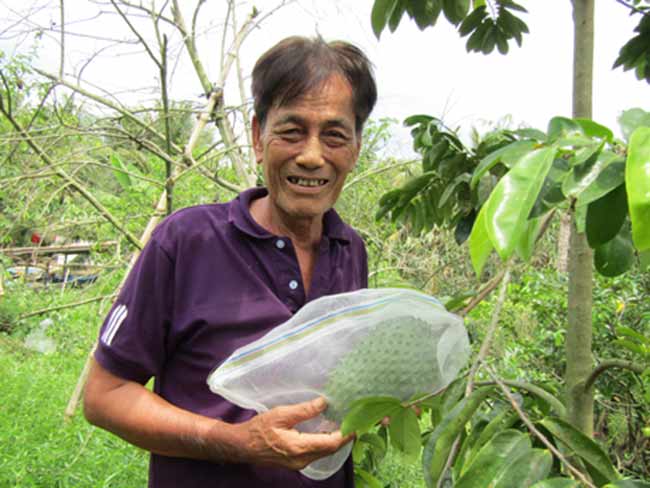 Trồng "cây đổi đời" ra trái bự, cứ 1 công lời gần 30 triệu - 3