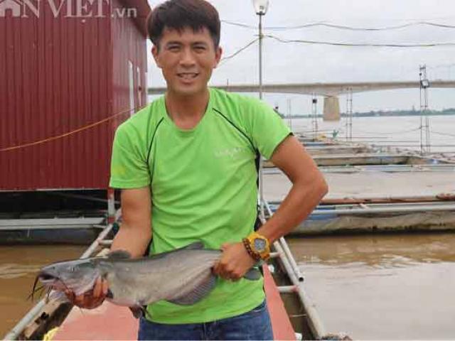Thị trường - Tiêu dùng - "Gã khùng" bỏ công việc Thanh tra về quê nuôi cá lăng sông, lãi 300 triệu đồng