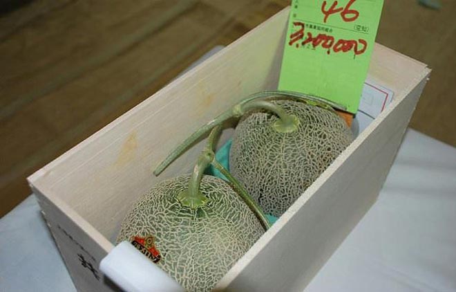 Nhật Bản: Hai quả dưa bán với giá kỷ lục 700 triệu đồng - 1