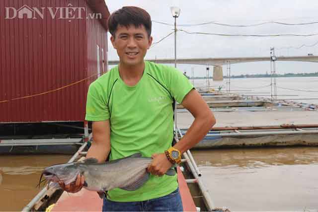 &#34;Gã khùng&#34; bỏ công việc Thanh tra về quê nuôi cá lăng sông, lãi 300 triệu đồng - 1