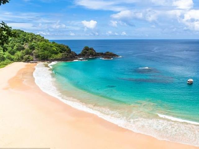 Phi thường - kỳ quặc - Đảo cấm sinh ở Brazil đón em bé đầu tiên sau 12 năm