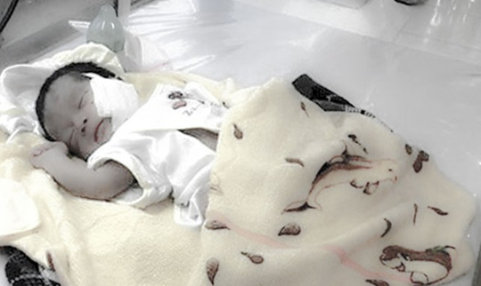 Khởi tố vụ án chôn sống trẻ sơ sinh ở Bình Thuận - 1