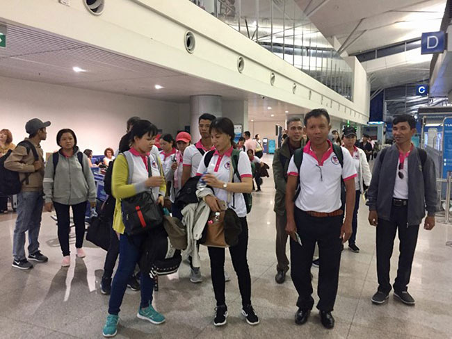 Xuất ngoại hái nấm, làm điều dưỡng lương 37-72 triệu/tháng - 1