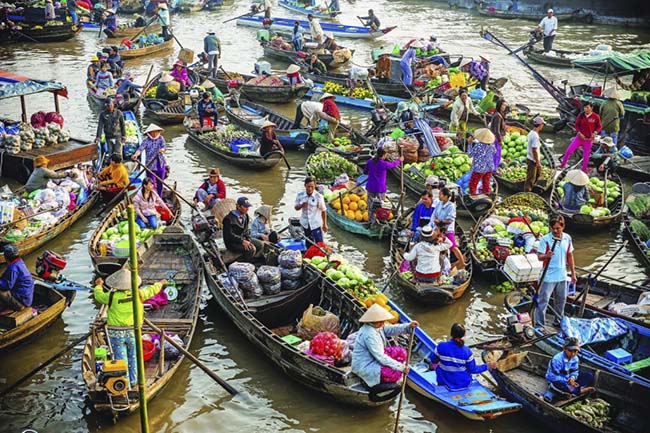 Đến Vĩnh Long để trở về tuổi thơ: Lội ruộng bắt cá, trèo cây hái quả - 3