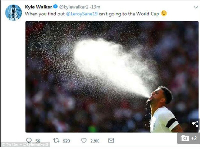 Thế giới giận dữ, than khóc vì Sane bị Đức loại khỏi World Cup - 4