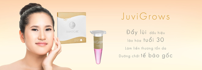 Đánh thức tế bào gốc da tự táo tạo và tái sinh với công nghệ WH-Stem* - 4