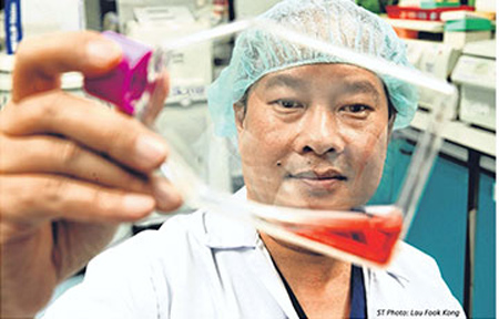 Đánh thức tế bào gốc da tự táo tạo và tái sinh với công nghệ WH-Stem* - 3