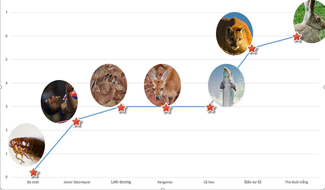 Cú bật nhảy khiến nhân loại sững sờ: Vua muôn loài, như con người bật 250m - 1