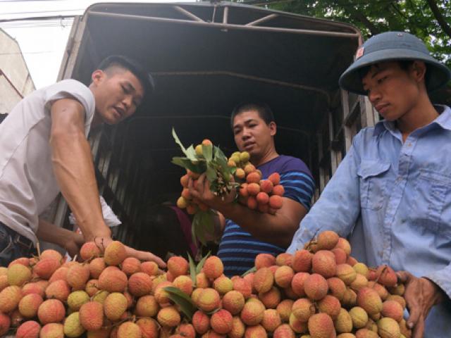 Thị trường - Tiêu dùng - Ghi nhanh: Cả nghìn thương nhân sắp “đổ bộ” Bắc Giang mua vải thiều