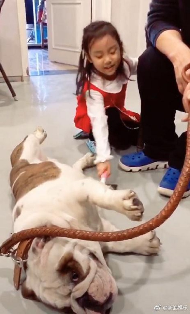 Tiết lộ bất ngờ về hôn nhân của Lý Tiểu Lộ sau ngoại tình với bạn thân chồng - 1