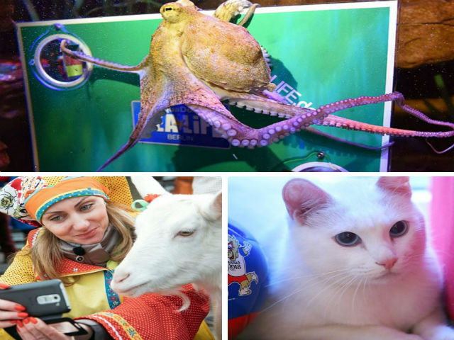 Bóng đá - “Thánh dự” World Cup 2018: Đại chiến các "nhà tiên tri", triệu fan hào hứng