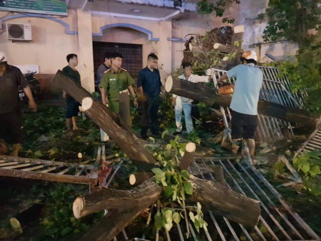 Tin tức trong ngày - Cây xanh gãy đổ đè hàng loạt xe máy tại TP HCM