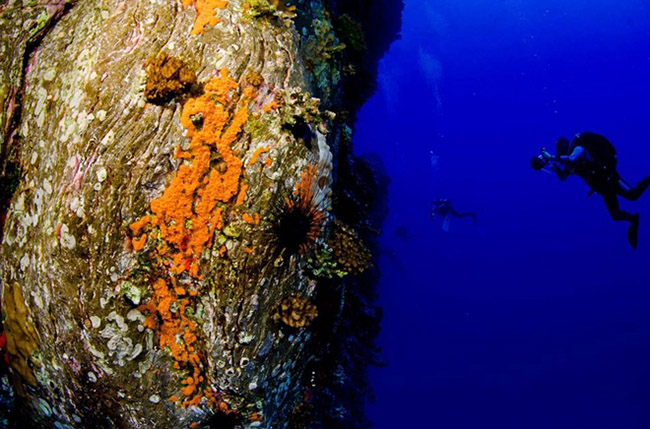 Bí ẩn ngàn năm về sự diệu kỳ của Đảo Phục Sinh Rapa Nui - 13