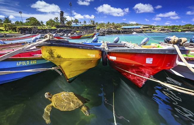 Bí ẩn ngàn năm về sự diệu kỳ của Đảo Phục Sinh Rapa Nui - 5