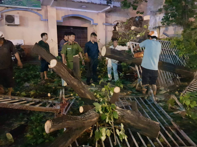 Cây xanh gãy đổ đè hàng loạt xe máy tại TP HCM - 4