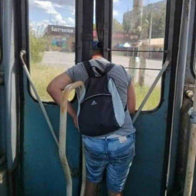 Nóng quá nên ló đầu ra ngắm cảnh cho mát đây mà.