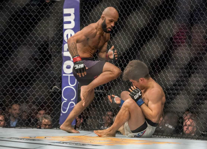 Tin nóng võ thuật 10/6:  &#34;Máy gặt&#34; Whittaker dũng mãnh, &#34;Đấu sĩ của Chúa&#34; gục ngã - 5