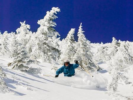 Vừa được thưởng trăm triệu, vừa được sống ở "thiên đường" vì lý do này - 3
