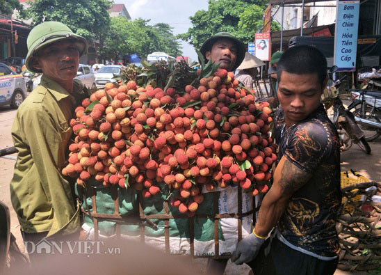 Đủ dịch vụ ăn theo mùa vải thiều: &#34;Lái mồm&#34; cũng kiếm bộn tiền - 1