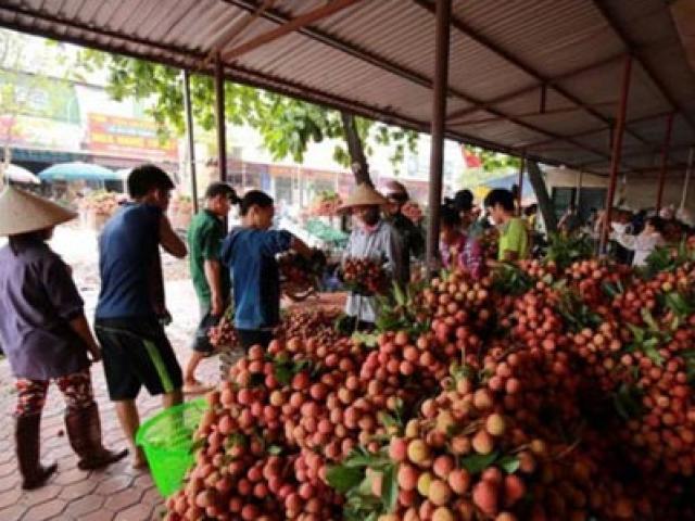 Thị trường - Tiêu dùng - Có cần Bầu Hiển đóng vai "anh hùng" giải cứu vải thiều?