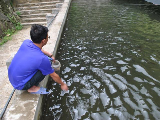 Thị trường - Tiêu dùng - Bỏ phố lên "cổng trời" nuôi loài cá quý tộc, 9x có bạc tỷ/năm