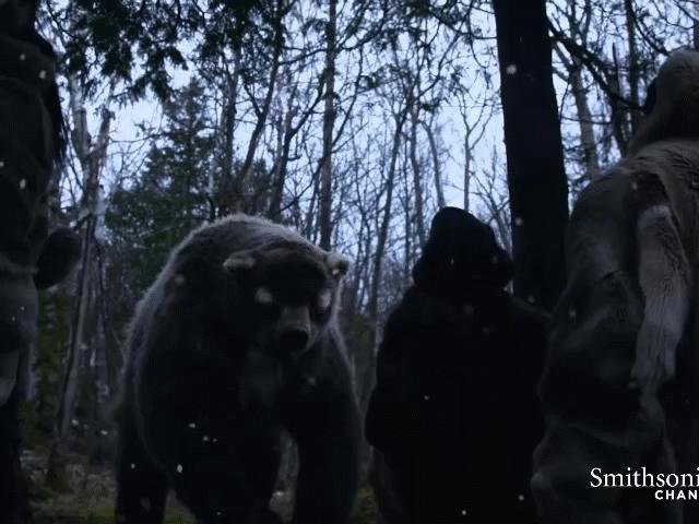 Media - Những quái thú con người chạm trán khi lần đầu đặt chân đến châu Mỹ