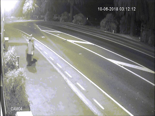 Phi thường - kỳ quặc - Đang khênh đồ ăn trộm bỗng dừng lại, ngồi "chém gió" giữa đường