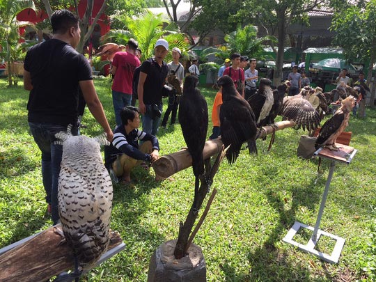 Bỏ trăm triệu mua đại bàng, cự đà làm thú cưng - 11