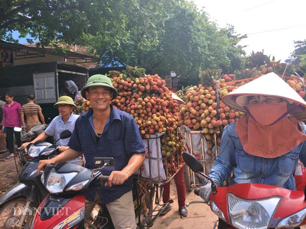Có cần Bầu Hiển đóng vai &#34;anh hùng&#34; giải cứu vải thiều? - 3