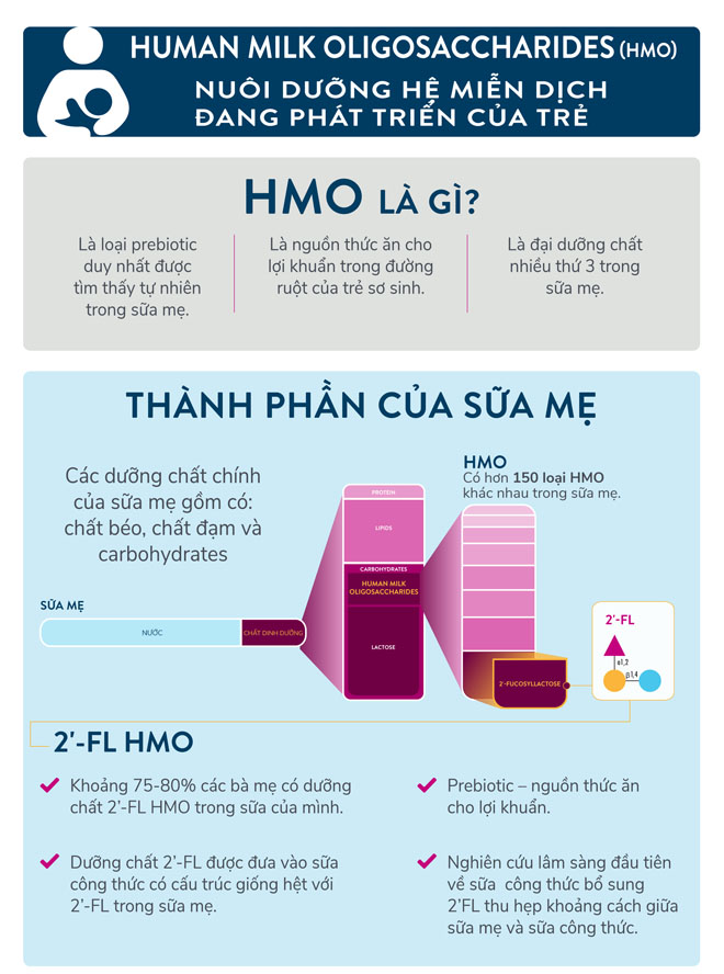 Dưỡng chất HMO trong sữa mẹ – “người hùng thầm lặng” hỗ trợ hệ miễn dịch của trẻ - 1