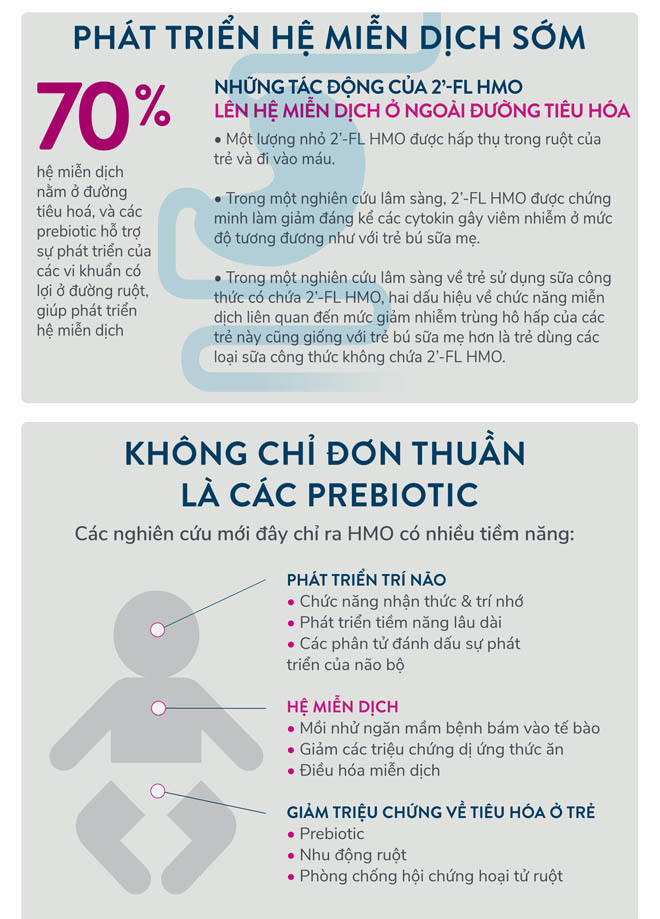 Dưỡng chất HMO trong sữa mẹ – “người hùng thầm lặng” hỗ trợ hệ miễn dịch của trẻ - 2