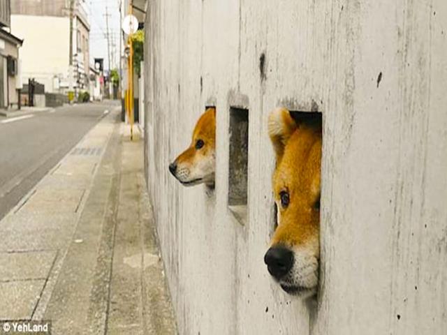 Du lịch - Chỉ một ý tưởng nhỏ nhưng khiến khách du lịch từ khắp nơi tò mò kéo đến