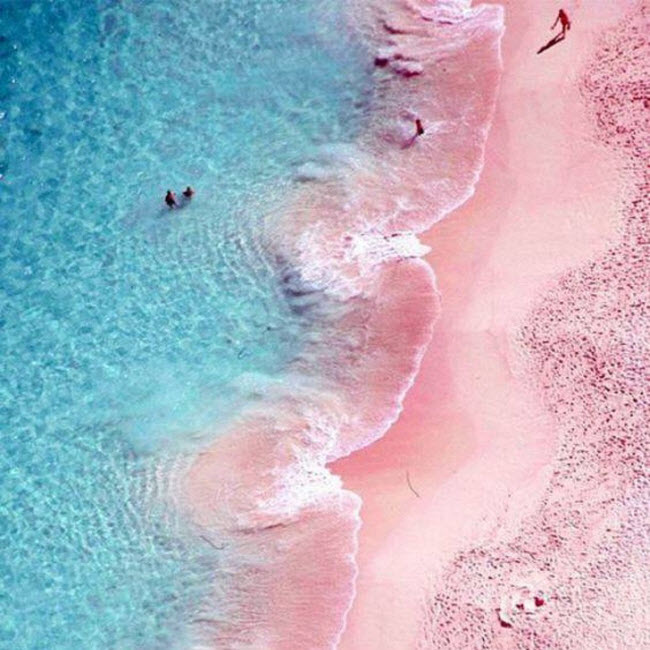 Bãi biển cát hồng, Bahamas: Các cặp đôi mới cưới thường tới các bãi biển cát hồng ở Bahamas để tận hưởng kỳ nghỉ trăng mật lãng mạn của họ. Nơi đây thực sự là một thiên đường nhiệt đới.